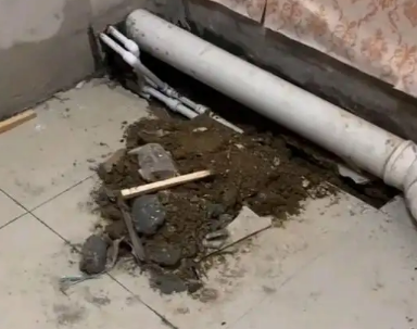 新蔡卫生间漏水检测哪家好